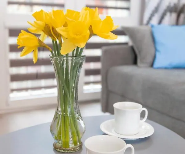 아파트 U Jankiego